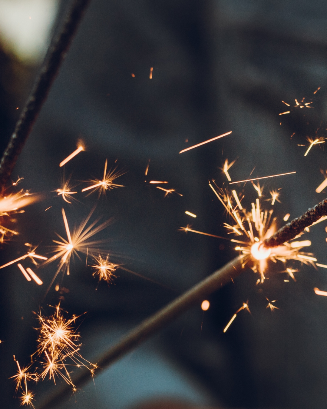 Silvester_Landliebe